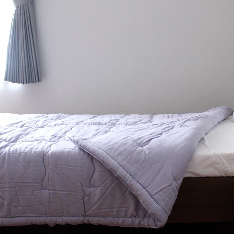 紫陽花(あじさい)